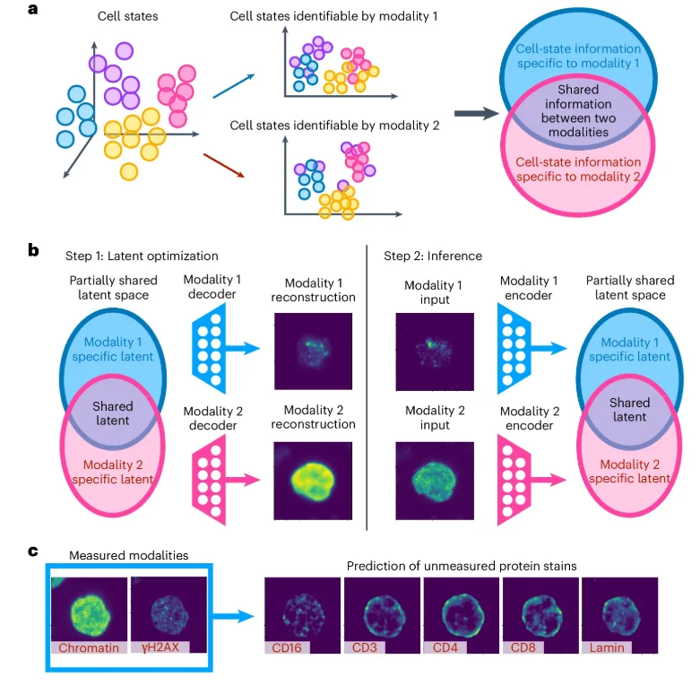 Nature子刊！MIT华人科学家打造细胞版「谷歌地图」，破解亿万年生物学黑箱！