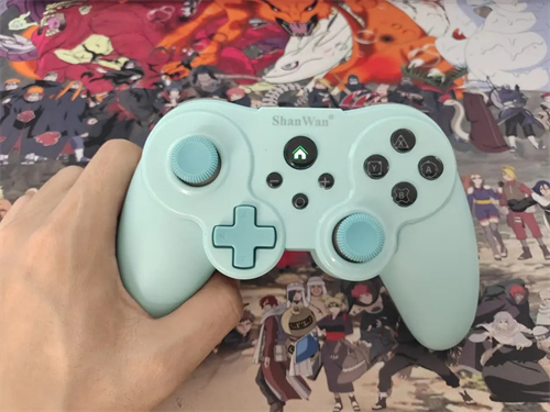 cemu模拟器体感怎么设置-cemu模拟器体感手柄怎么连接