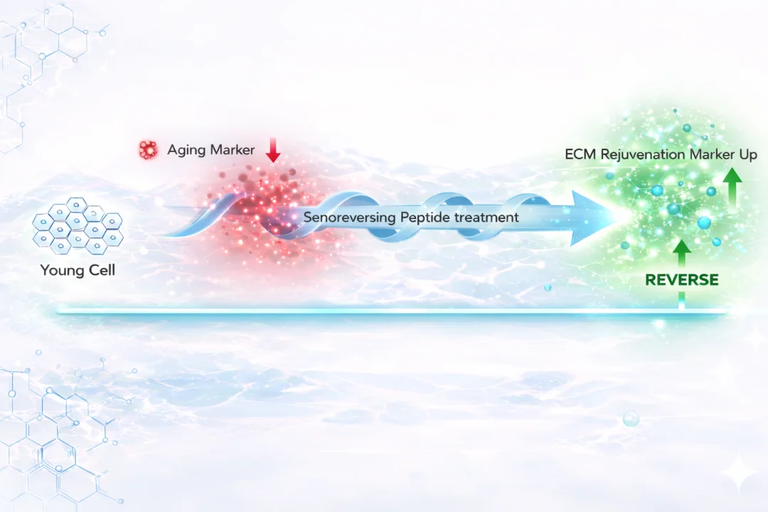 首个千万美金ARR的AI4S公司，完成AI设计新分子商业应用